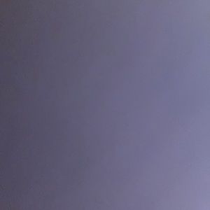 Meet your Posher, Wesley